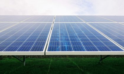Monitorizações Avifauna (pré-construção) – Central Solar Fotovoltaica de Cerca