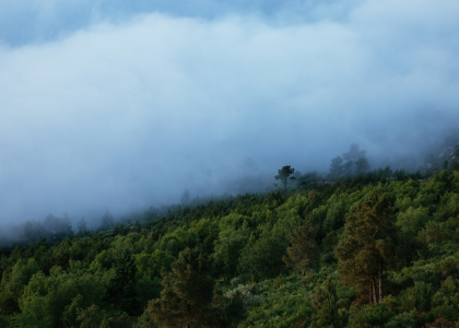 ALTERAÇÕES CLIMÁTICAS