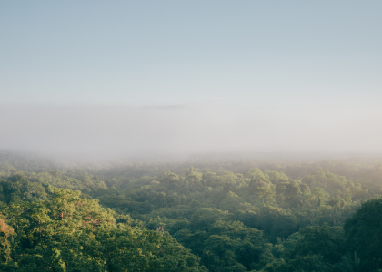 PONTOS POSITIVOS E NEGATIVOS DE 2020 - natureza